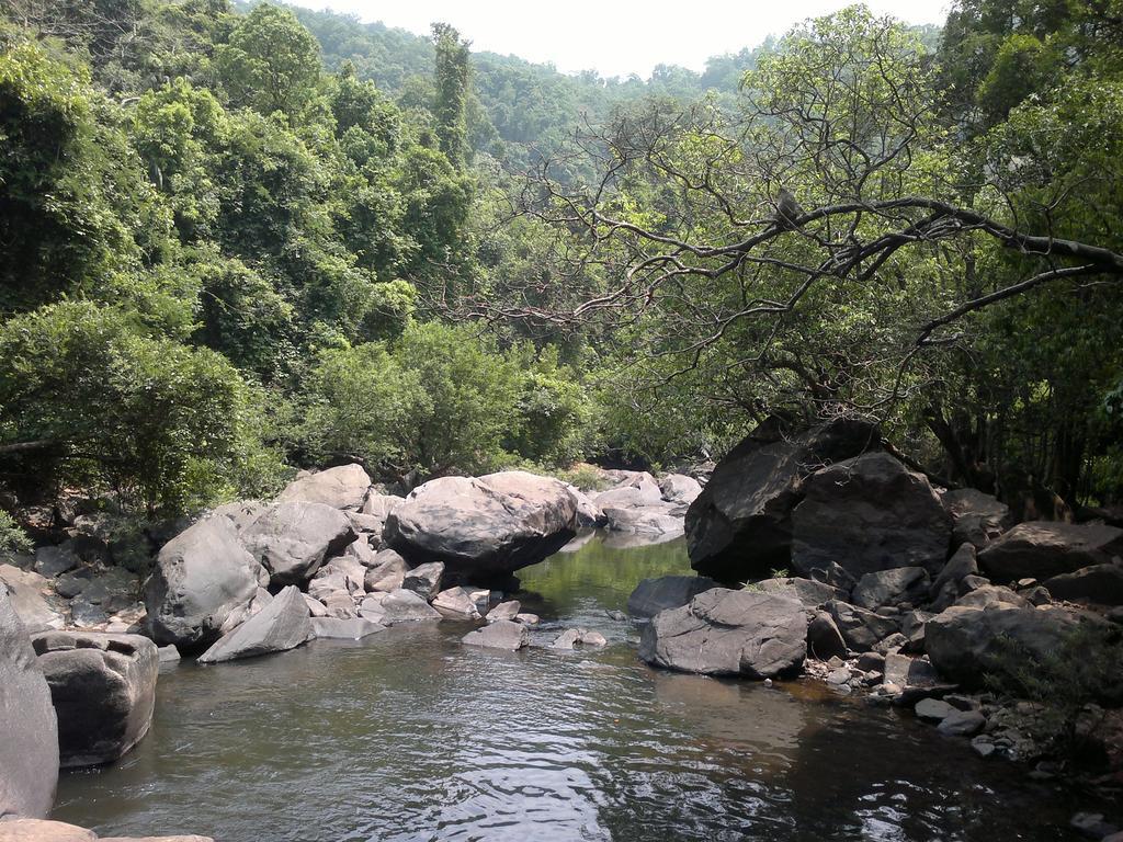 Dudhsagar Plantation Βίλα Cormonem Εξωτερικό φωτογραφία