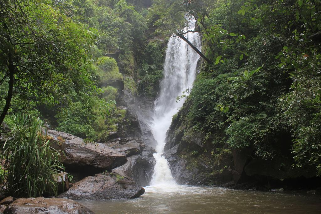 Dudhsagar Plantation Βίλα Cormonem Εξωτερικό φωτογραφία