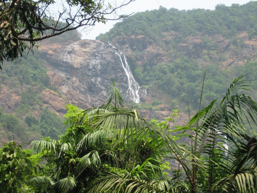 Dudhsagar Plantation Βίλα Cormonem Εξωτερικό φωτογραφία